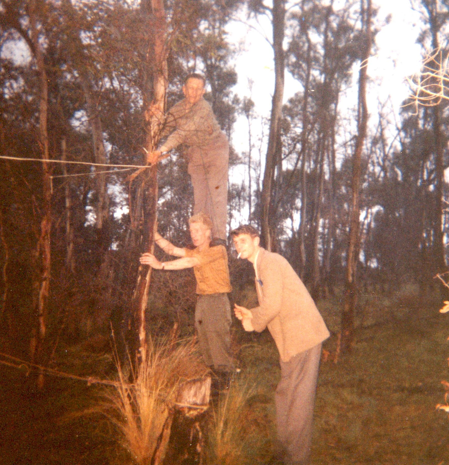 1966 Hamfest erecting antenna VK7EB VK7ZAS VK7ZAV by VK7BYL