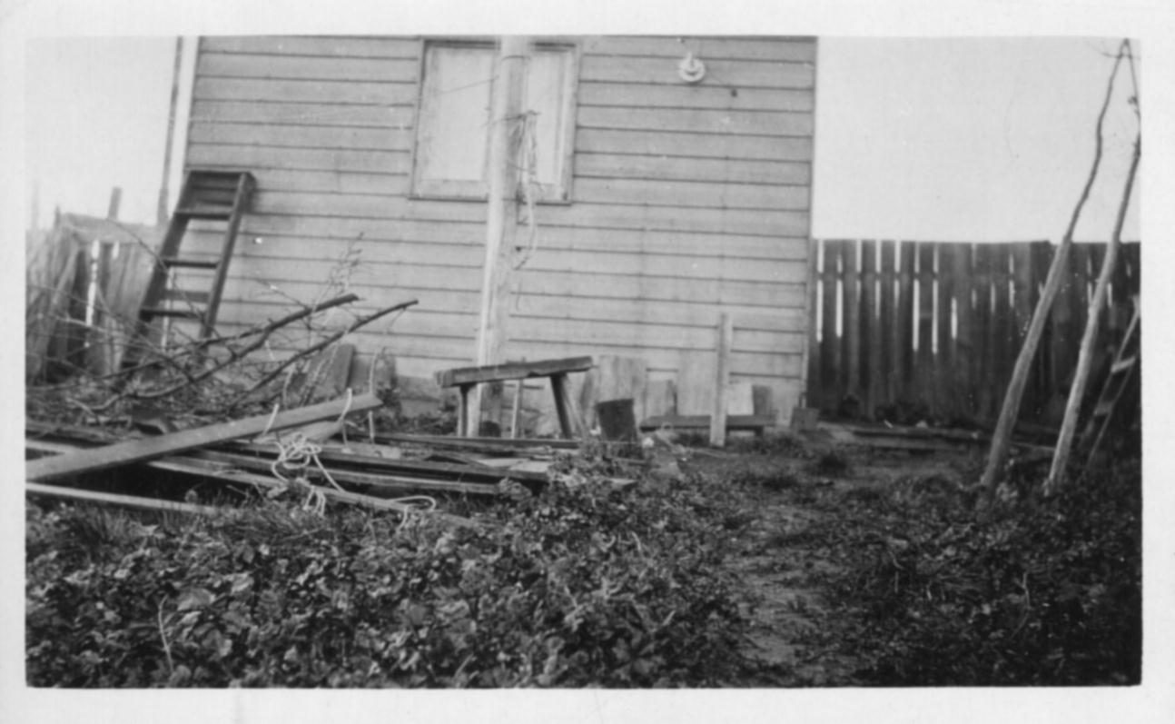 7dx photos (28)