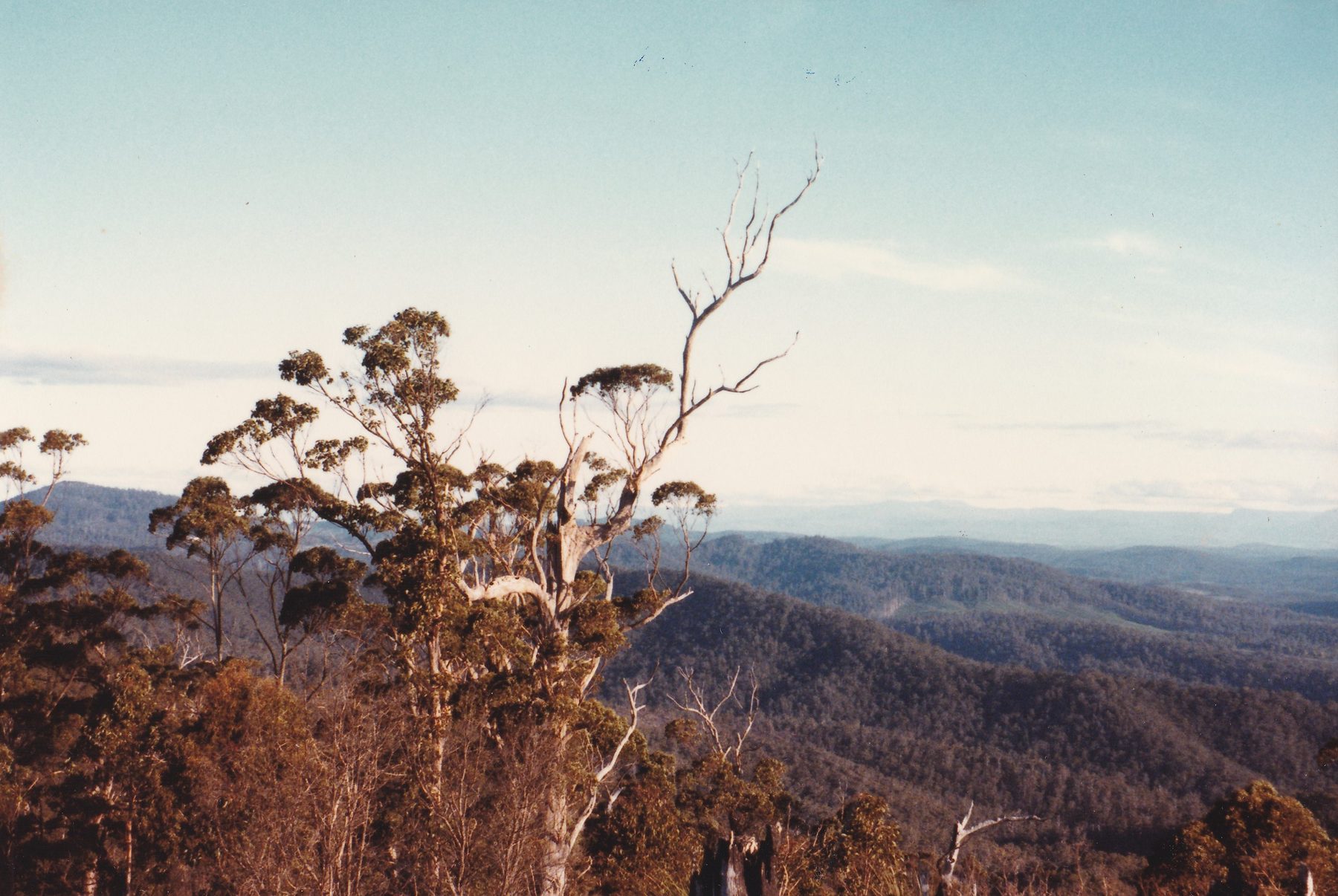 Dazzler Range lookout 009