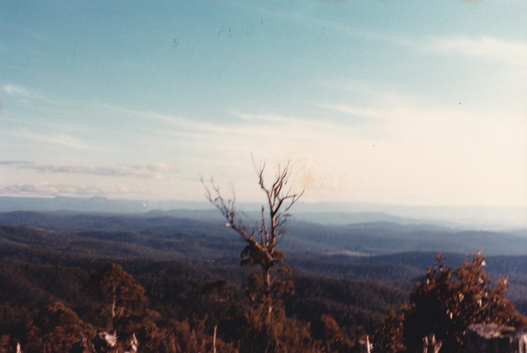 Dazzler Range lookout 010
