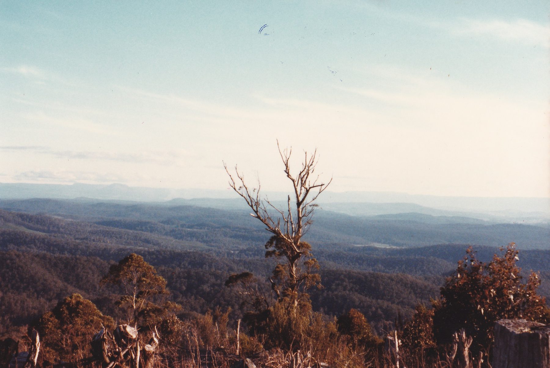 Dazzler Range lookout 011
