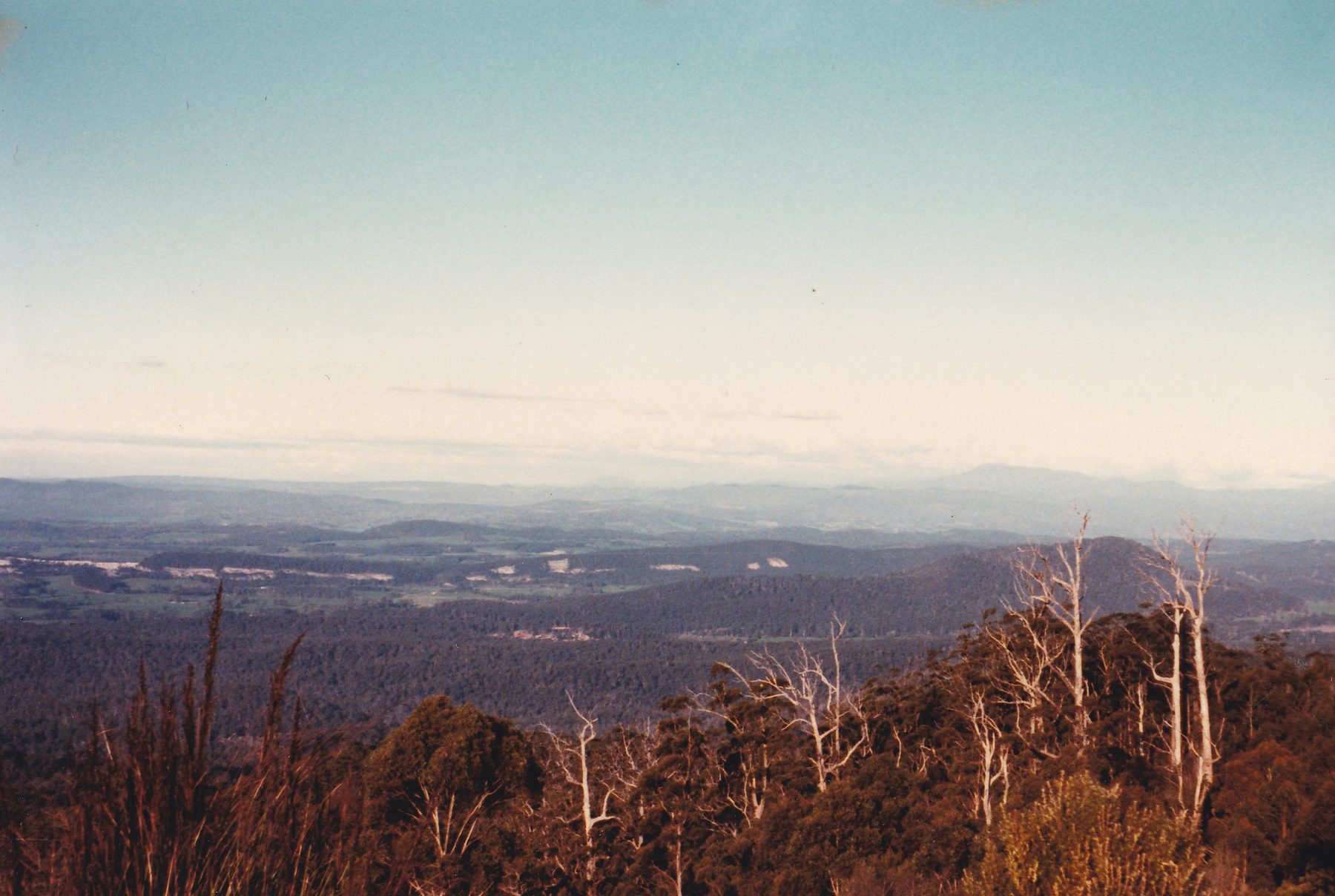 Dazzler Range lookout 014
