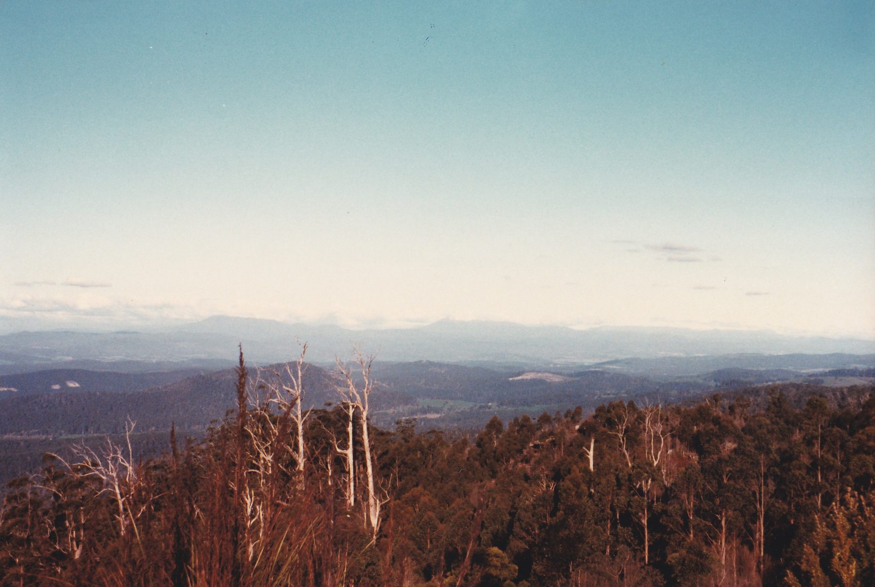 Dazzler Range lookout 015