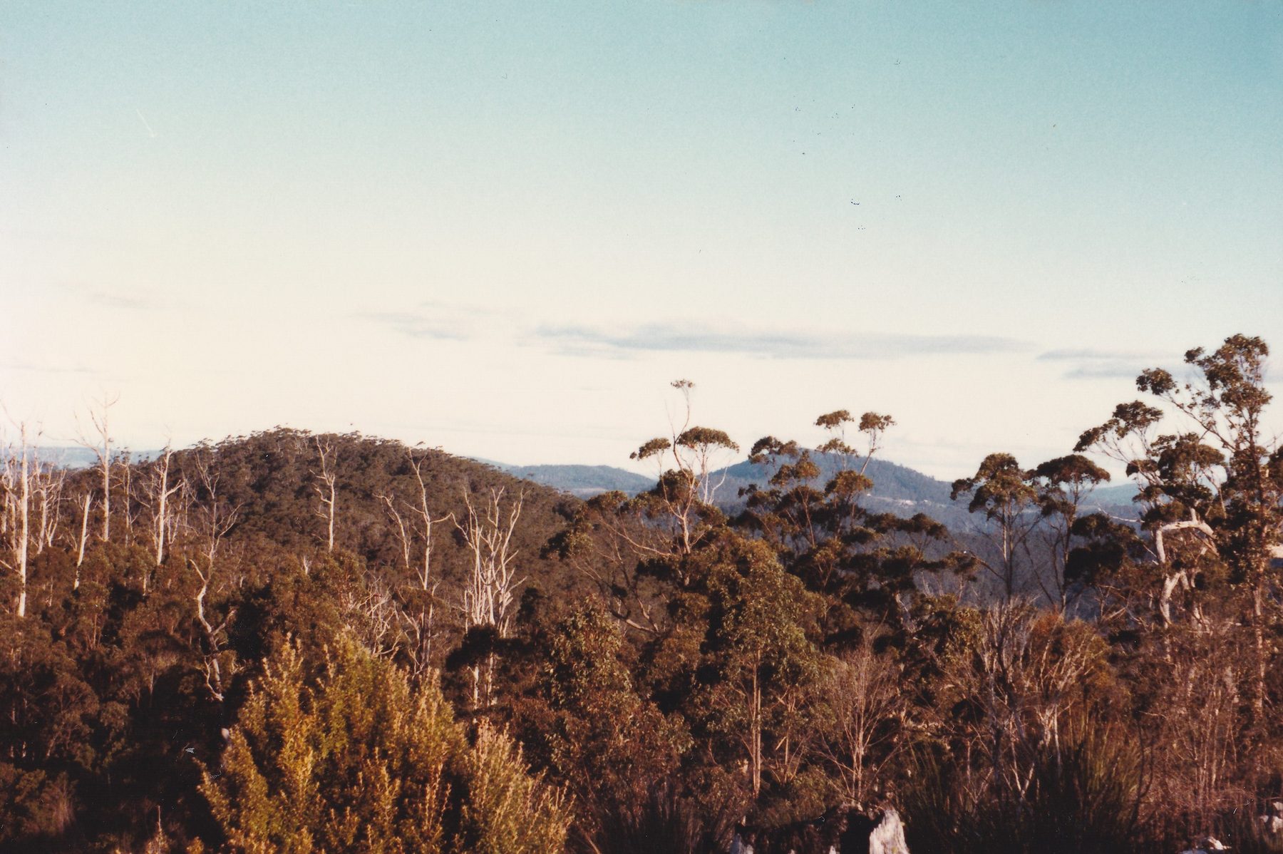 Dazzler Range lookout 016