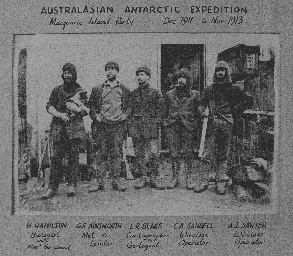MQI1912adj