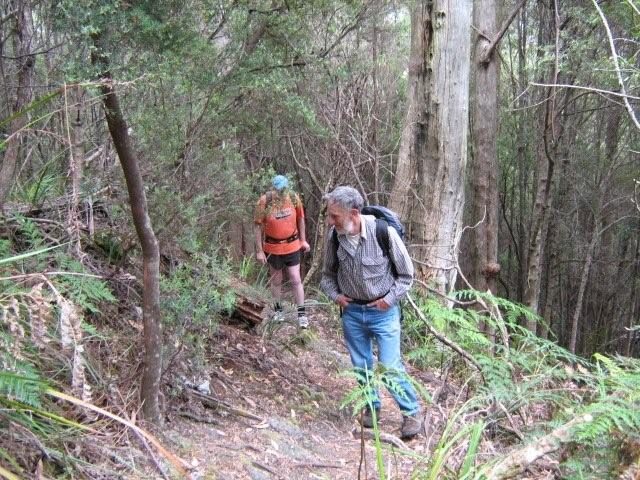 Mt Duncan 012