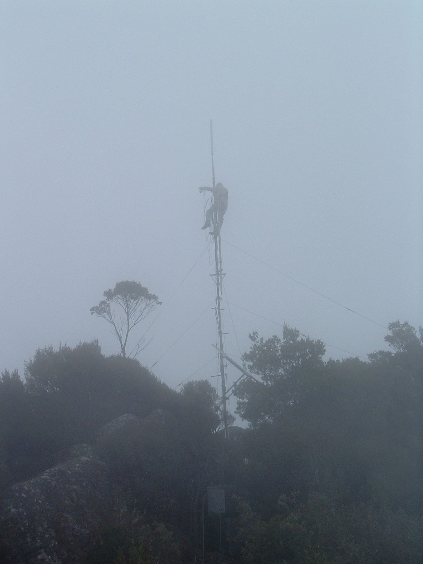 Mt Duncan (5)