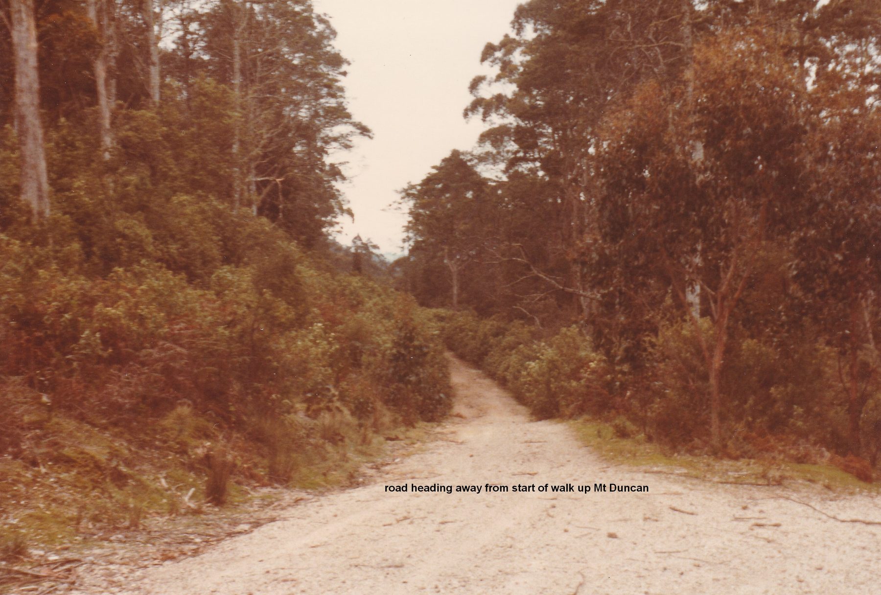 VK7RTV Mt Duncan ATV repeater 70cm installation road to start of walk up Mt Duncan 1983 022